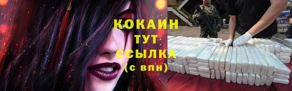 альфа пвп Нязепетровск