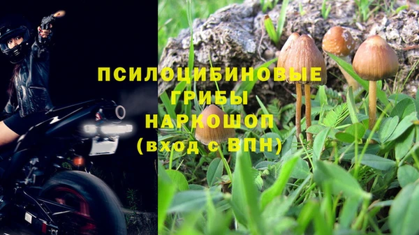 альфа пвп Нязепетровск