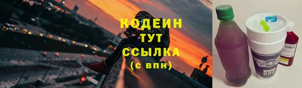 ALPHA PVP Няндома