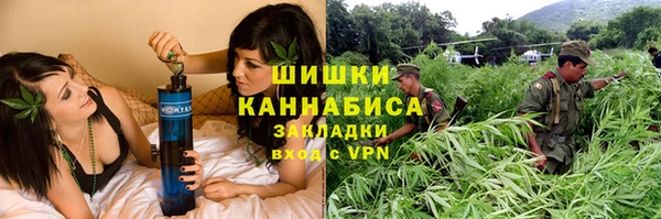 ALPHA PVP Няндома