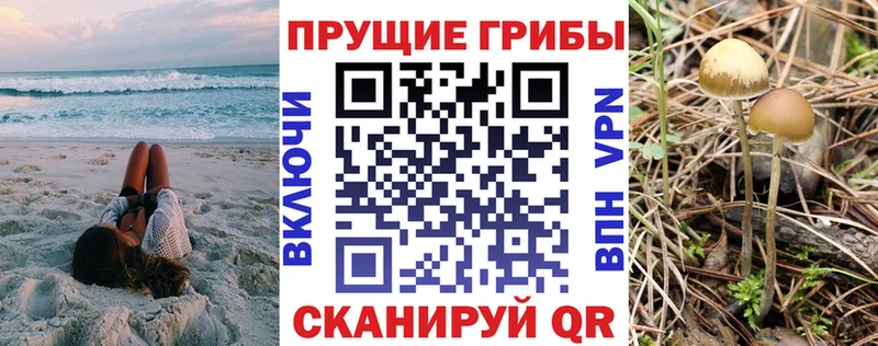 blacksprut закладки Ясногорск Псилоцибиновые грибы Psilocybe